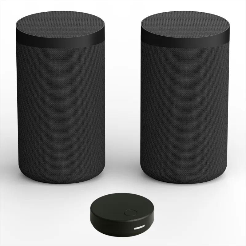 WiSA-E Ready Immersive Audio Platform