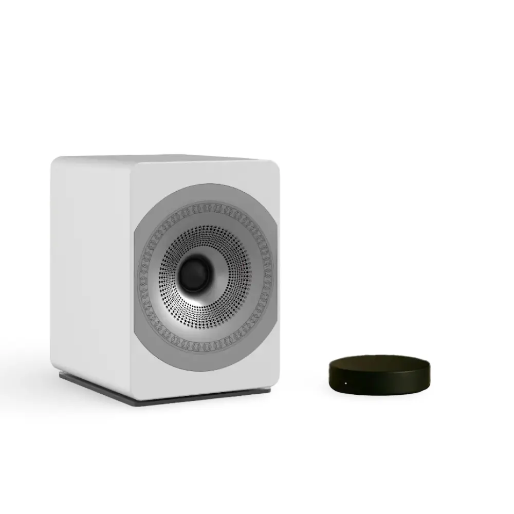 Wireless-Coaxial-Audio-Platform